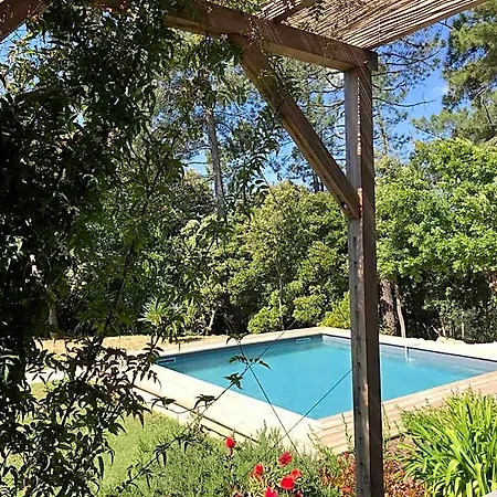 بيت للعطل Du Reve O Naturel - Maison De Entre Gorges De L'ardeche Et Gard